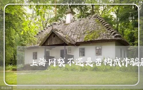 上海网袋不还是否构成诈骗罪/2023032356171