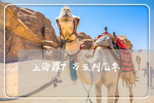 上海罪7万五判几年/2023021638293 上海罪7万五判几年/2023021638293
