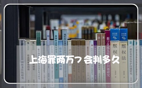 上海罪两万7会判多久/2023032042717