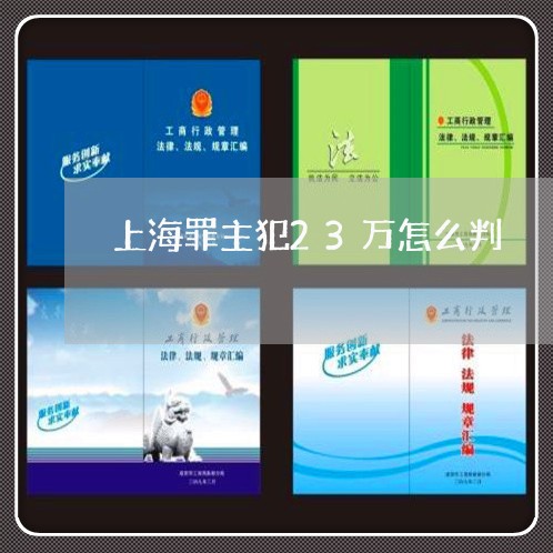 上海罪主犯23万怎么判/2023032393838