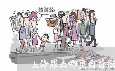 上海罪去哪里自首报案/2023031827167