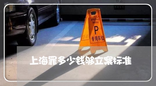 上海罪多少钱够立案标准/2023032215047