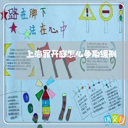 上海罪开庭怎么争取缓刑/2023032249384