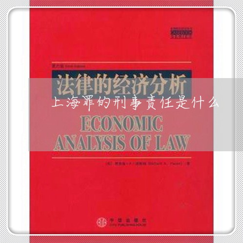 上海罪的刑事责任是什么/2023032226471 上海罪的刑事责任是什么/2023032226471