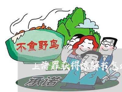 上海罪获得谅解书怎么判/2023032214067
