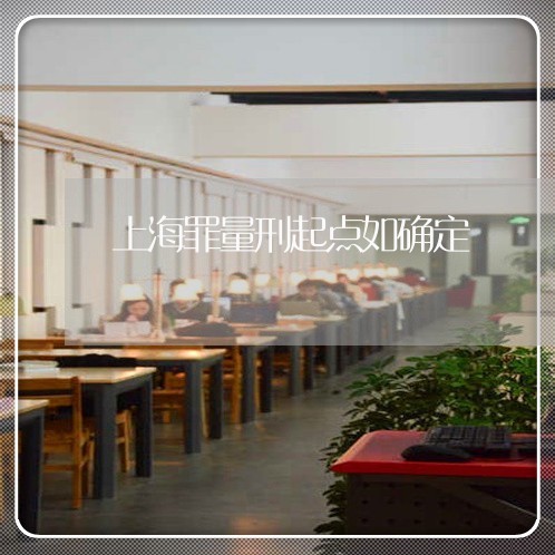 上海罪量刑起点如确定/2023032236057
