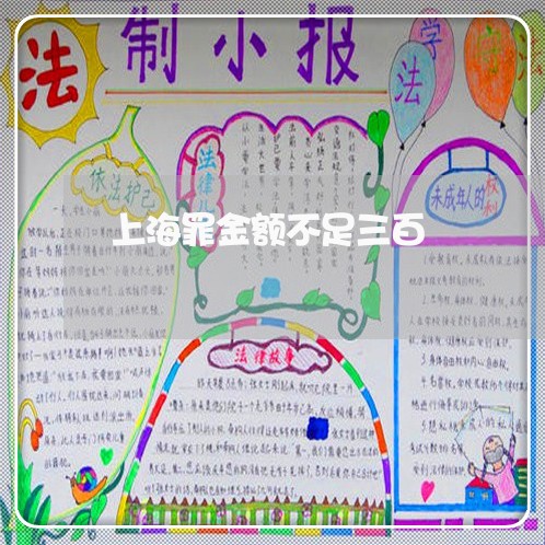 上海罪金额不足三百/2023021543513