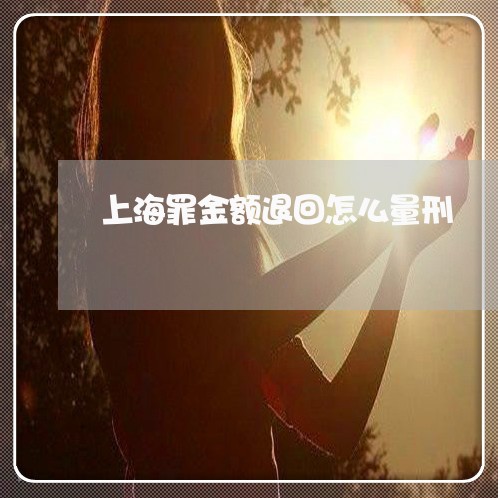 上海罪金额退回怎么量刑/2023032213159