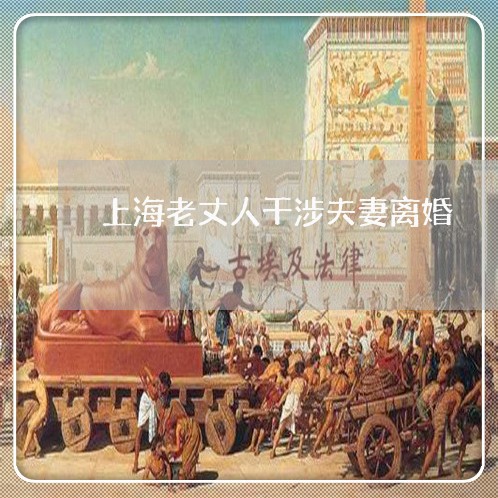 上海老丈人干涉夫妻离婚/2023021672617