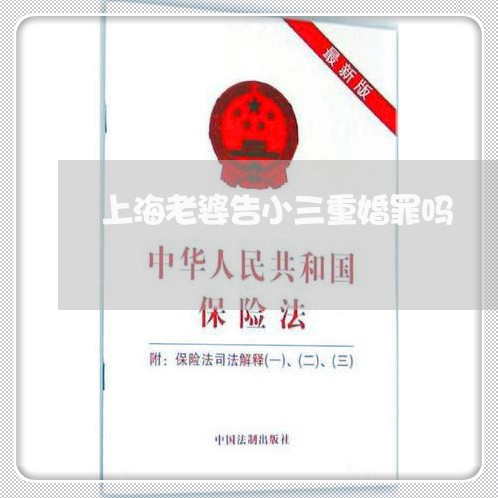 上海老婆告小三重婚罪吗/2023021650582 上海老婆告小三重婚罪吗/2023021650582