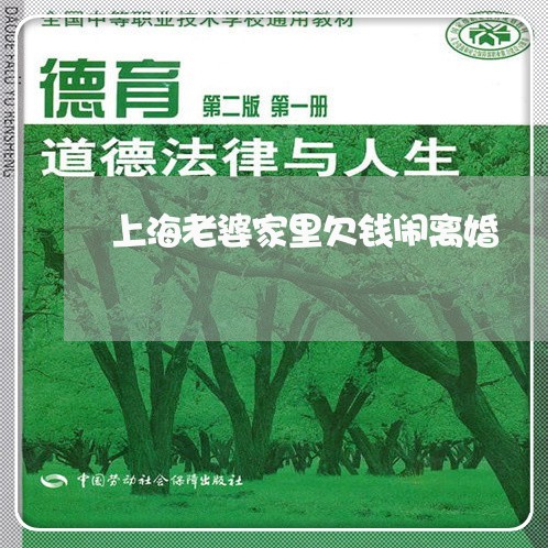 上海老婆家里欠钱闹离婚/2023021683916