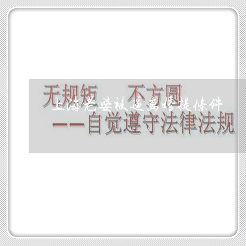 上海老婆被逼离婚提条件/2023041147261