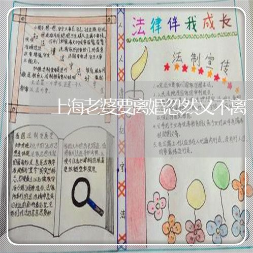 上海老婆要离婚忽然又不离了/2023032362715 上海老婆要离婚忽然又不离了/2023032362715