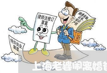 上海老婆闹离婚爸妈诋毁媳妇/2023032352703