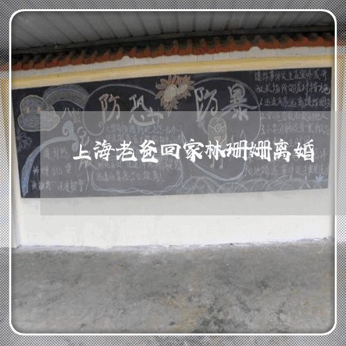 上海老爸回家林珊姗离婚/2023021737158 上海老爸回家林珊姗离婚/2023021737158