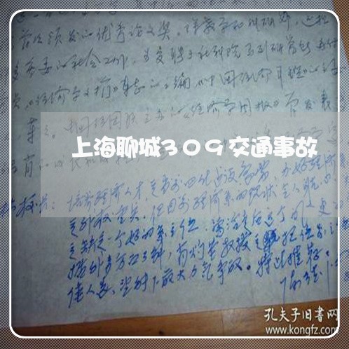 上海聊城309交通事故/2023021727950 上海聊城309交通事故/2023021727950