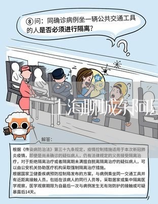 上海聊城东阿县交通事故/2023021726937 上海聊城东阿县交通事故/2023021726937