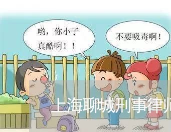 上海聊城刑事律师最好的/2023041245290