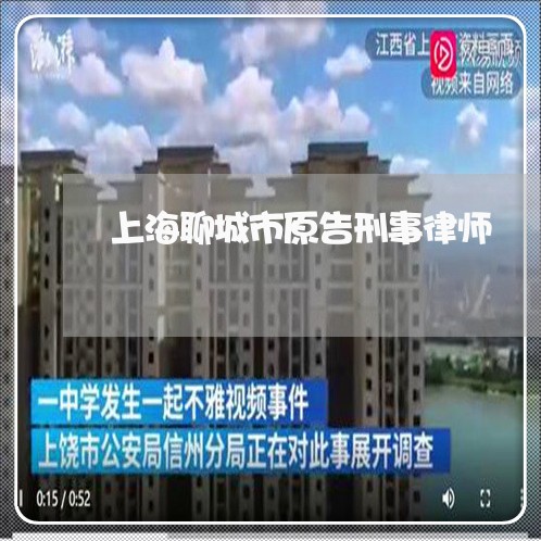 上海聊城市原告刑事律师/2023041261784