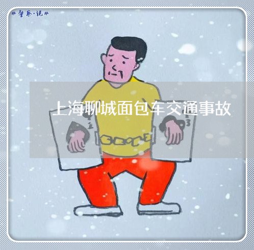 上海聊城面包车交通事故/2023021758371 上海聊城面包车交通事故/2023021758371