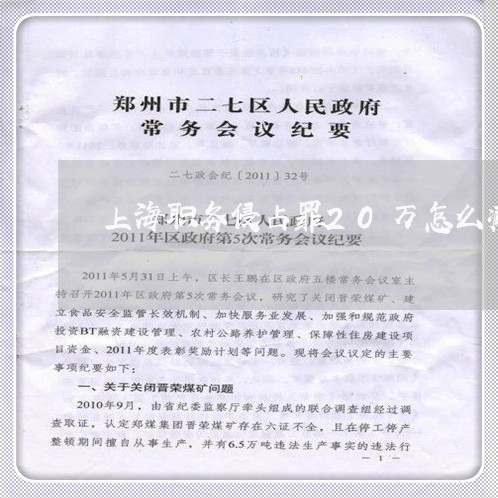 上海职务侵占罪20万怎么减刑/2023042083793