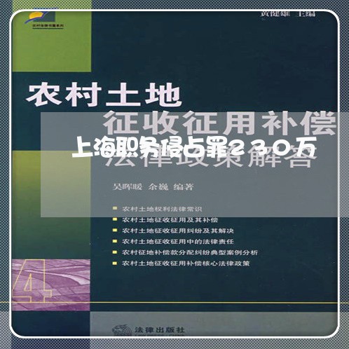 上海职务侵占罪230万/2023041246047