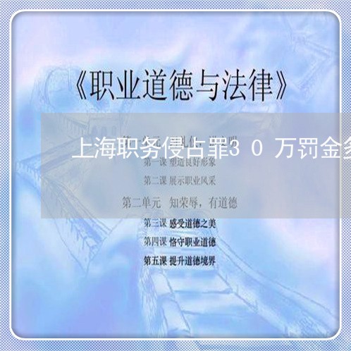 上海职务侵占罪30万罚金多少/2023042096682