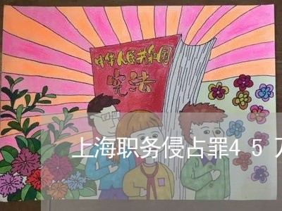 上海职务侵占罪45万坐牢几年/2023042014817