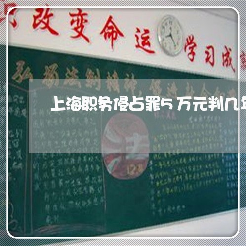 上海职务侵占罪5万元判几年/2023032381614