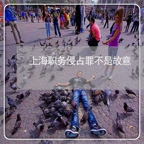 上海职务侵占罪不是故意/2023021740271 上海职务侵占罪不是故意/2023021740271