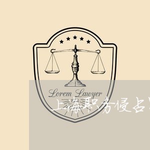 上海职务侵占罪与侵犯著作权罪/2023042037370