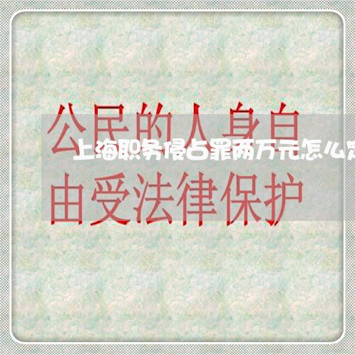 上海职务侵占罪两万元怎么定/2023032324038 上海职务侵占罪两万元怎么定/2023032324038