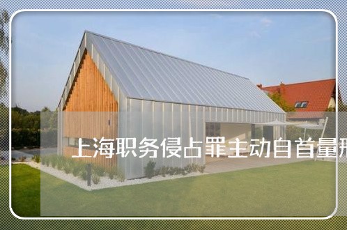 上海职务侵占罪主动自首量刑/2023032339378 上海职务侵占罪主动自首量刑/2023032339378