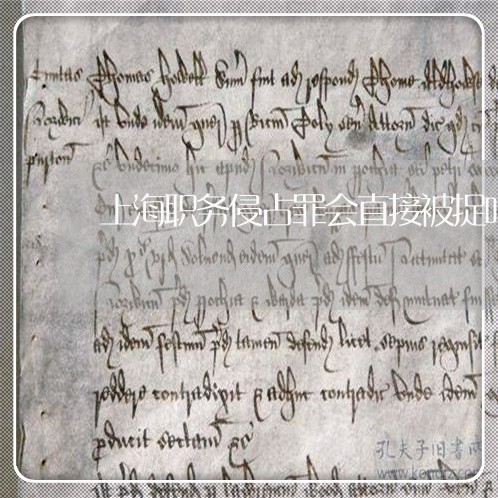 上海职务侵占罪会直接被捉吗/2023032324046