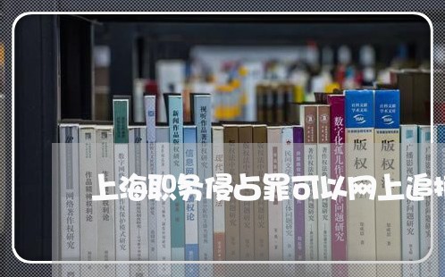 上海职务侵占罪可以网上追捕吗/2023042194757