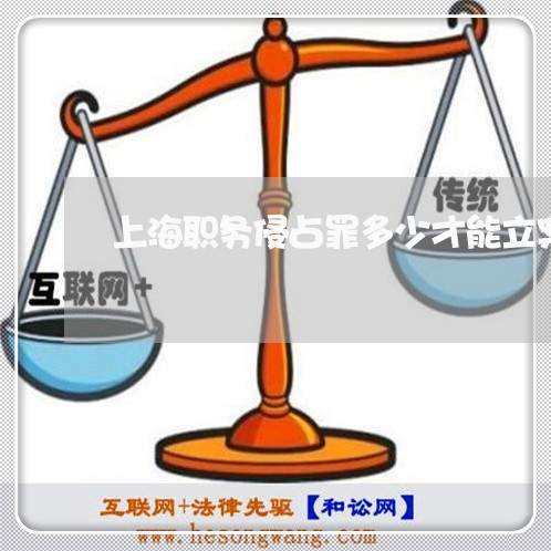 上海职务侵占罪多少才能立案/2023032337350