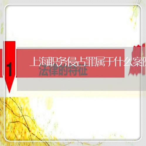 上海职务侵占罪属于什么案例/2023032383956