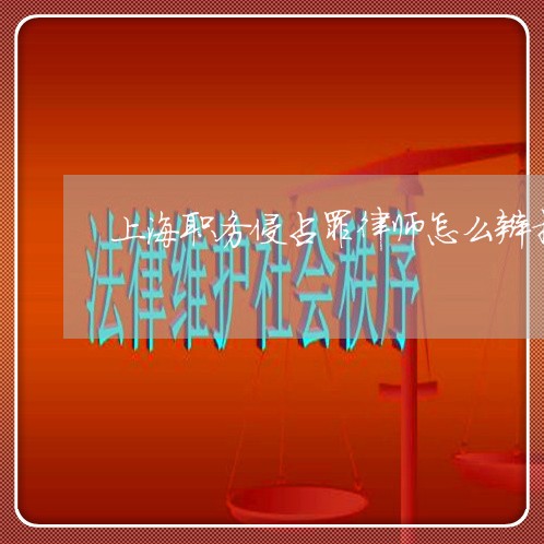 上海职务侵占罪律师怎么辩护/2023032340475