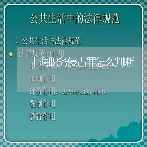 上海职务侵占罪怎么判断/2023041153483