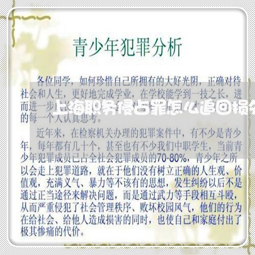 上海职务侵占罪怎么追回损失/2023032359482
