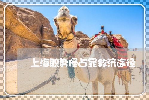 上海职务侵占罪救济途径/2023021774717 上海职务侵占罪救济途径/2023021774717