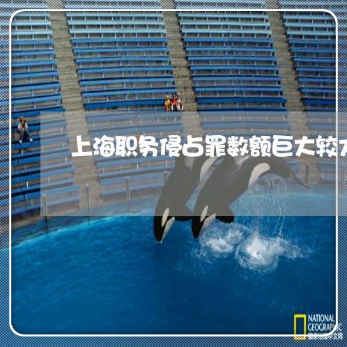 上海职务侵占罪数额巨大较大/2023032352524 上海职务侵占罪数额巨大较大/2023032352524
