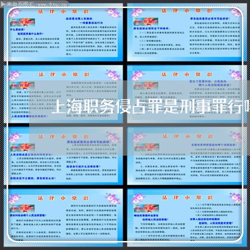 上海职务侵占罪是刑事罪行吗/2023032360681