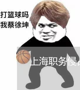 上海职务侵占罪最大标准/2023041205958