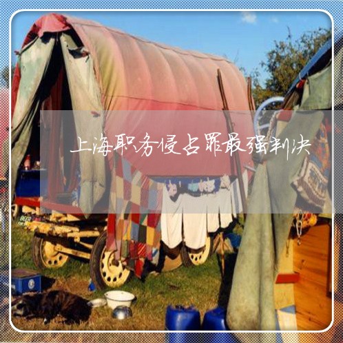 上海职务侵占罪最强判决/2023021738271 上海职务侵占罪最强判决/2023021738271