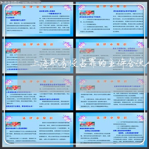 上海职务侵占罪的主体合伙人/2023032373704