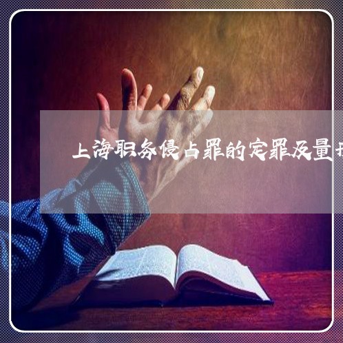 上海职务侵占罪的定罪及量刑/2023032390482