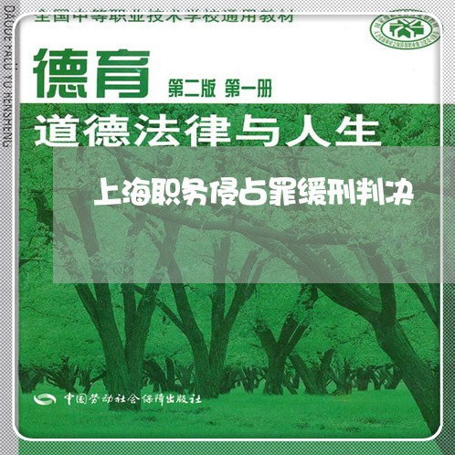 上海职务侵占罪缓刑判决/2023041249179