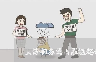 上海职务侵占罪能起诉个人吗/2023032355956