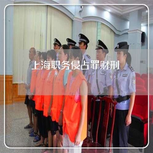 上海职务侵占罪财刑/2023032539259